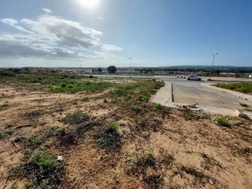 Terreno para Venda em Tornada e Salir do Porto