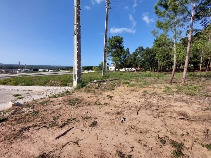 Terreno para Venda em Tornada e Salir do Porto Foto 7
