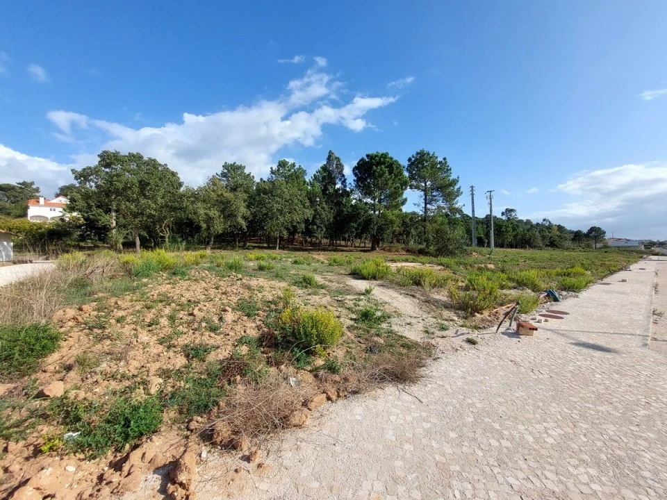 Terreno para Venda em Tornada e Salir do Porto Foto 6