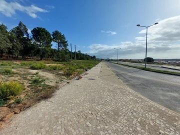 Terreno para Venda em Tornada e Salir do Porto
