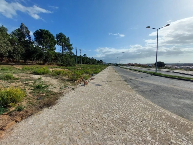 Terreno para Venda em Tornada e Salir do Porto Foto 12