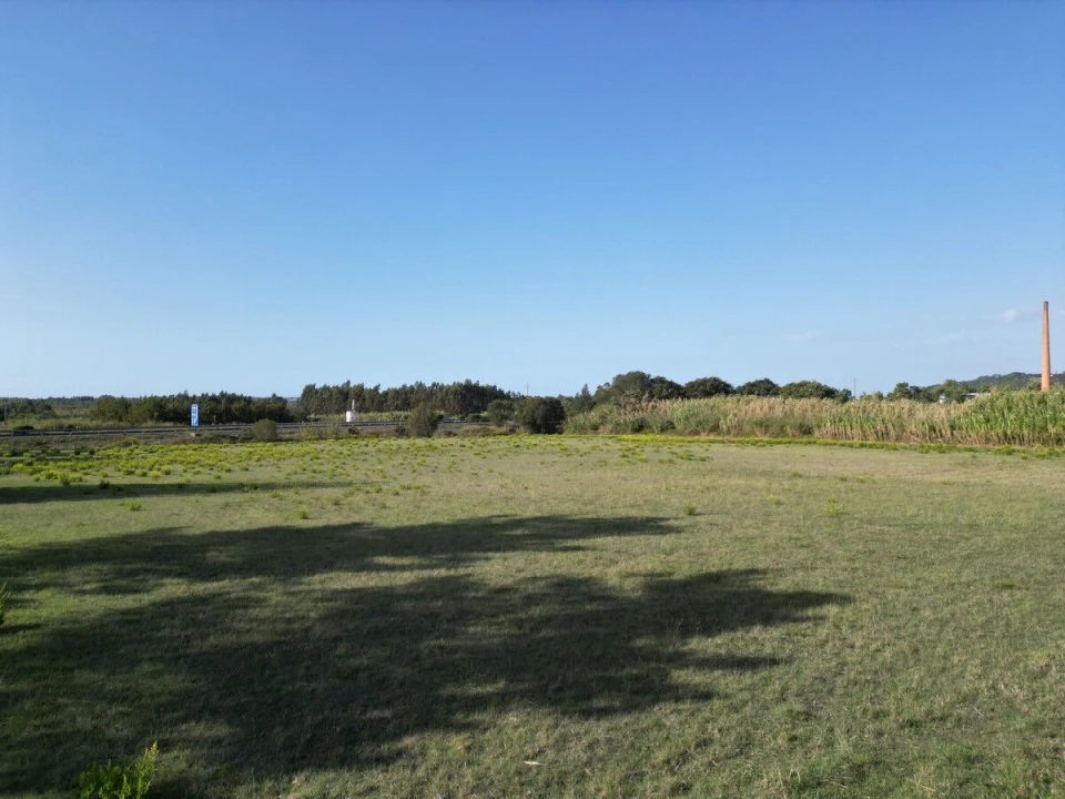 Terreno para Venda em Tornada e Salir do Porto Foto 6