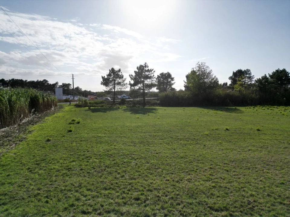 Terreno para Venda em Tornada e Salir do Porto Foto 8