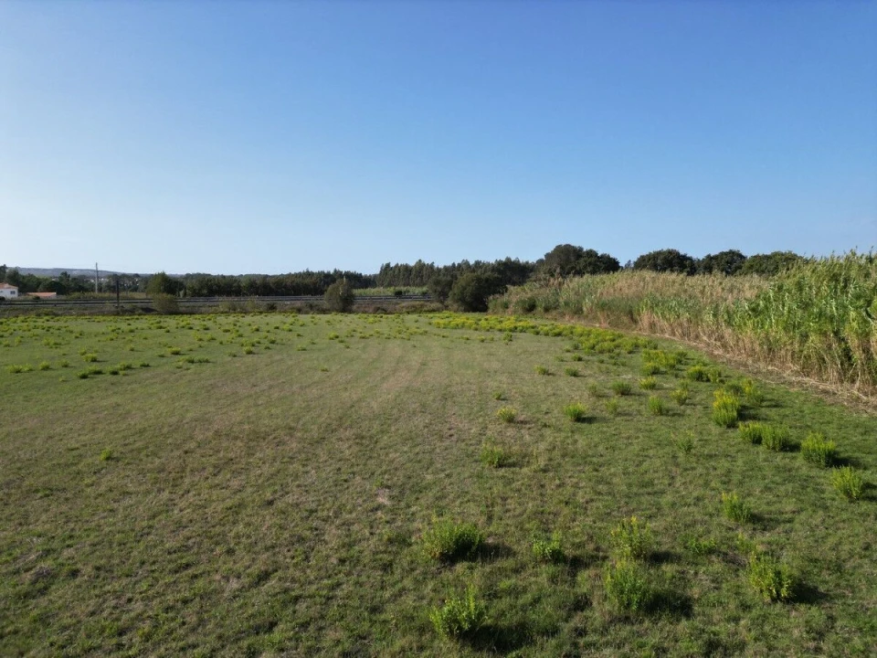 Terreno para Venda em Tornada e Salir do Porto Foto 9