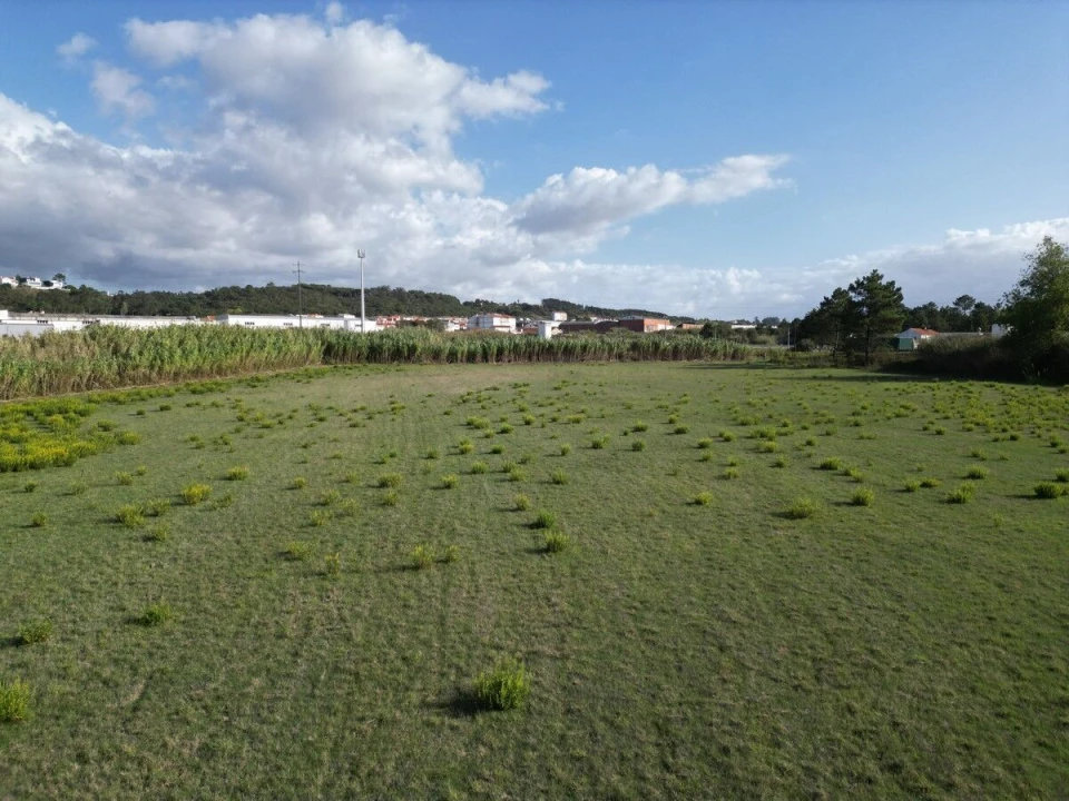 Terreno para Venda em Tornada e Salir do Porto Foto 10