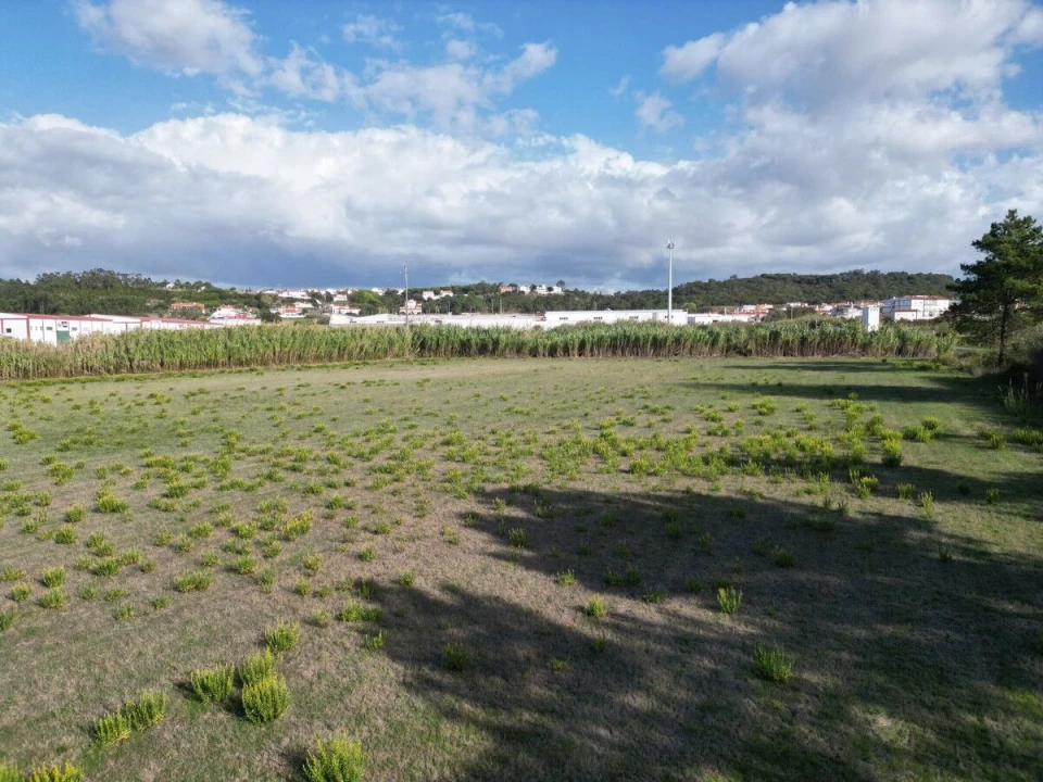 Terreno para Venda em Tornada e Salir do Porto Foto 13