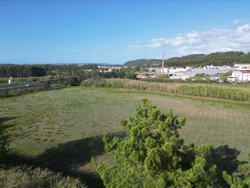 Terreno para Venda em Tornada e Salir do Porto Foto 17