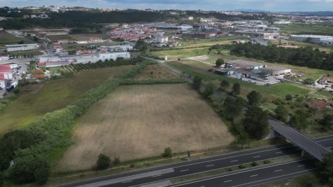 Terreno para Venda em Tornada e Salir do Porto