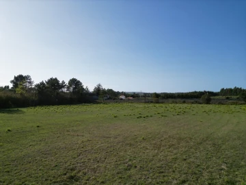 Terreno para Venda em Tornada e Salir do Porto