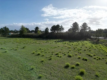 Terreno para Venda em Tornada e Salir do Porto