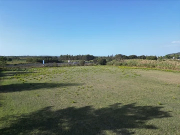 Terreno para Venda em Tornada e Salir do Porto