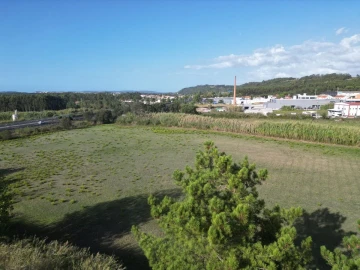 Terreno para Venda em Tornada e Salir do Porto