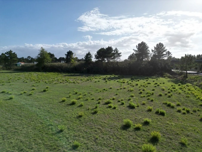 Terreno para Venda em Tornada e Salir do Porto Foto 11