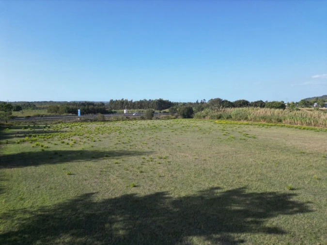 Terreno para Venda em Tornada e Salir do Porto Foto 15