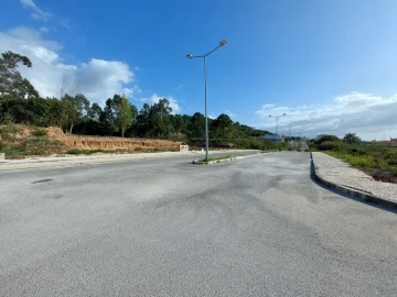 Terreno para Venda em Tornada e Salir do Porto