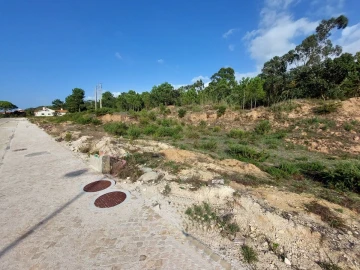 Terreno para Venda em Tornada e Salir do Porto