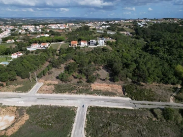 Terreno para Venda em Tornada e Salir do Porto