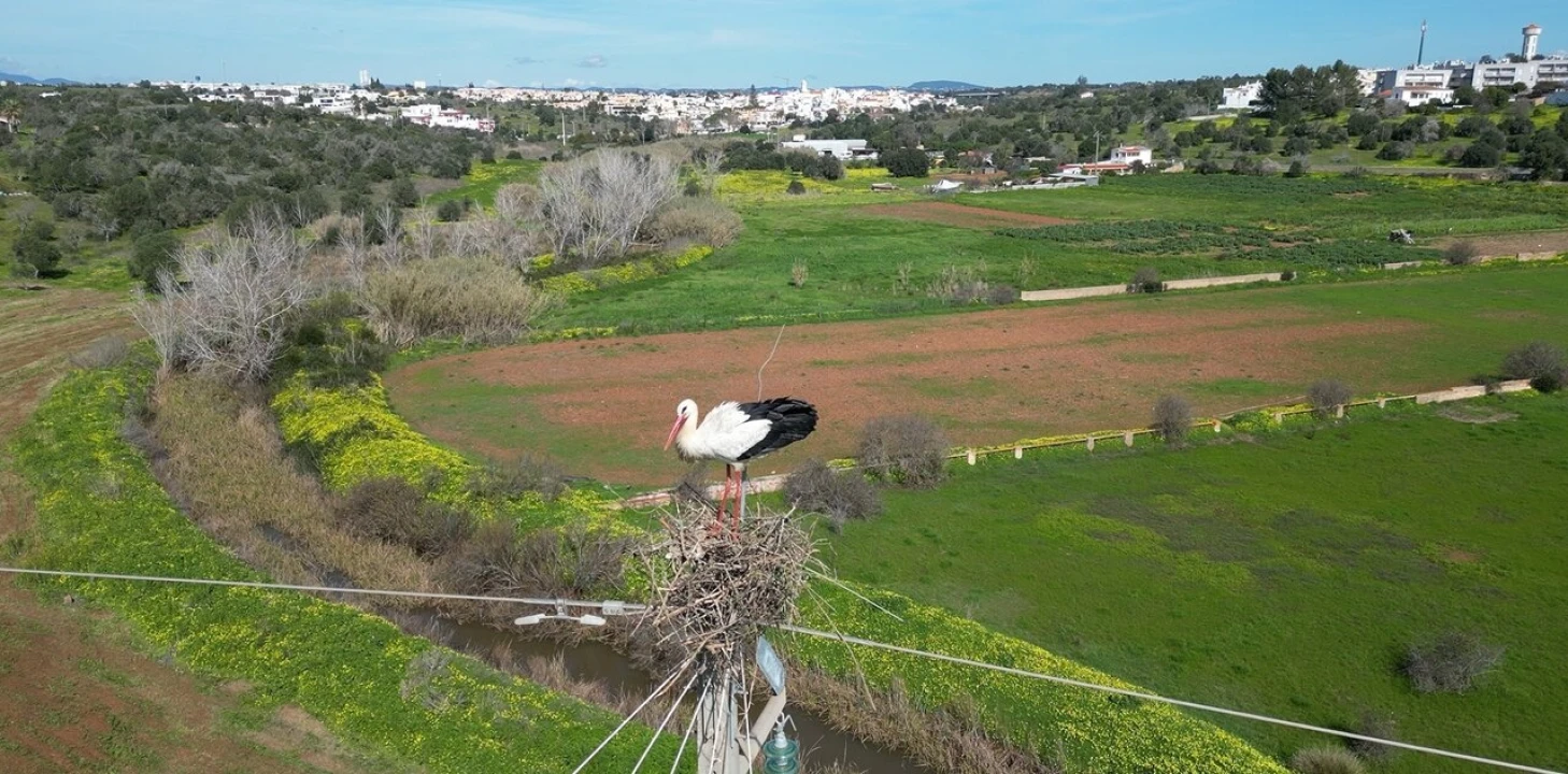 Armazém para Venda em Armação de Pera Foto 21