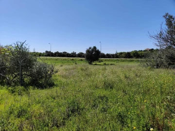 Armazém para Venda em Armação de Pera