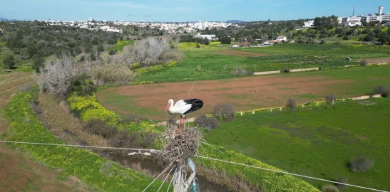 Armazém para Venda em Armação de Pera