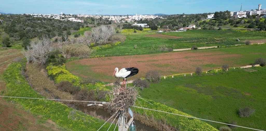 Armazém para Venda em Armação de Pera Foto 21
