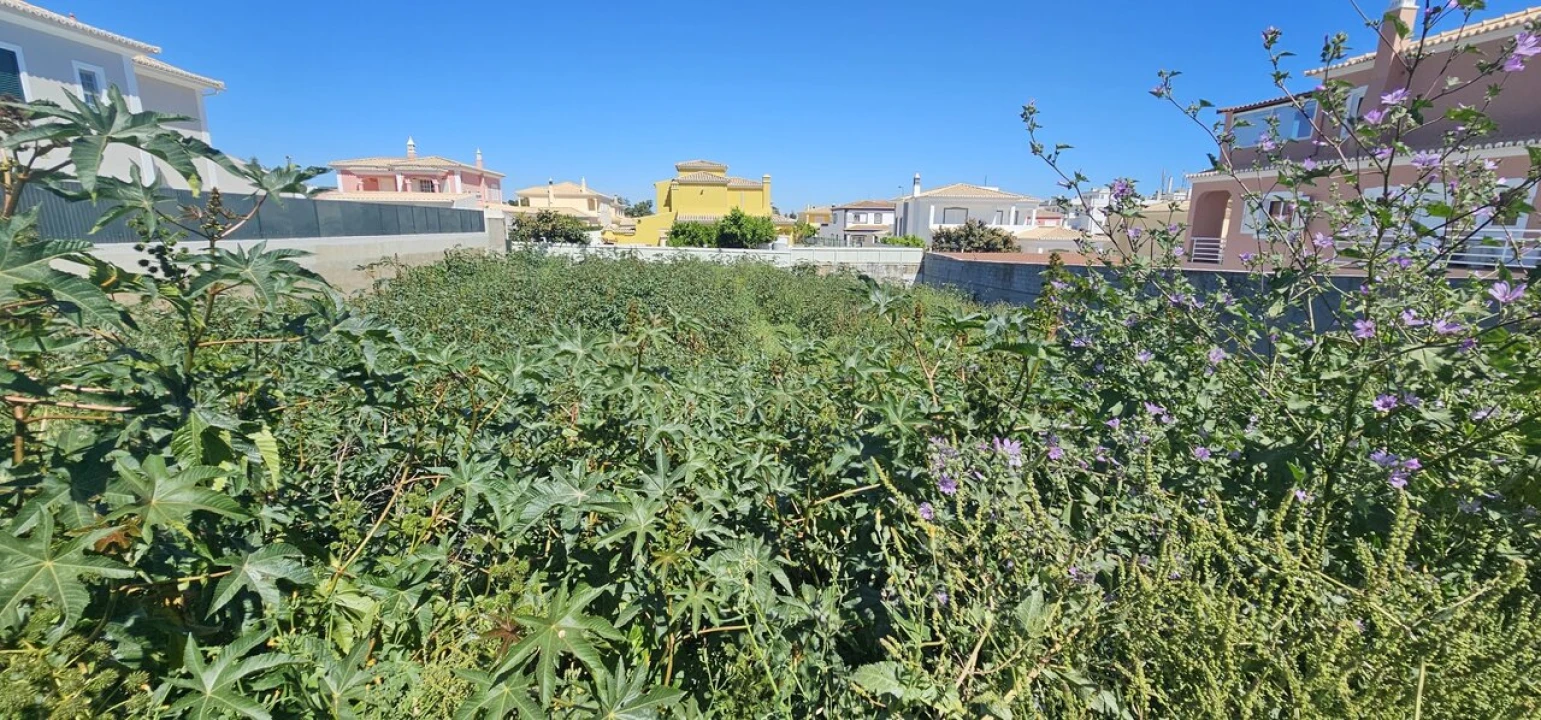 Terreno para Venda em Lagoa e Carvoeiro Foto 1