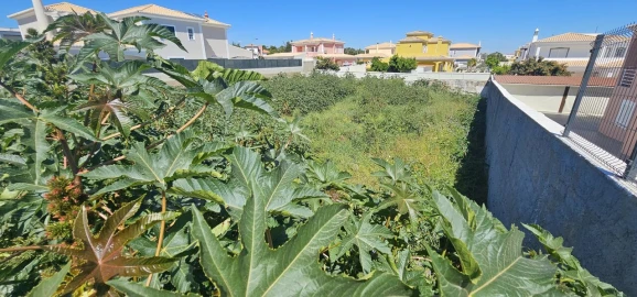 Terreno para Venda em Lagoa e Carvoeiro