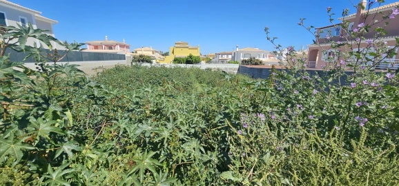 Terreno para Venda em Lagoa e Carvoeiro