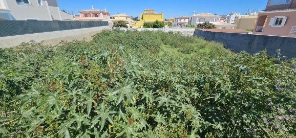 Terreno para Venda em Lagoa e Carvoeiro