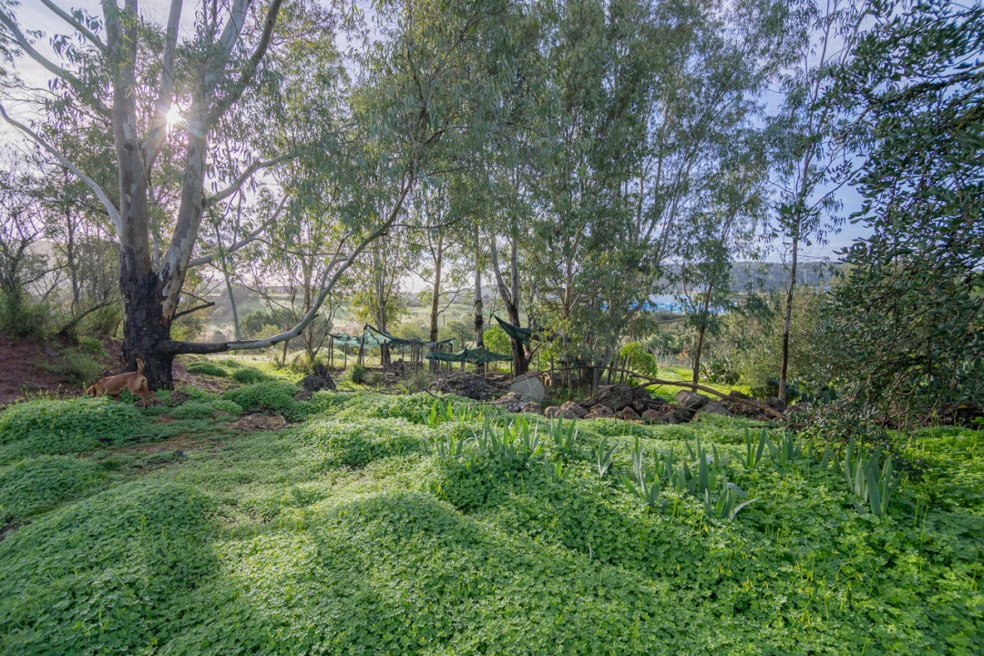 Moradia T3 para Venda em São Bartolomeu de Messines Foto 42