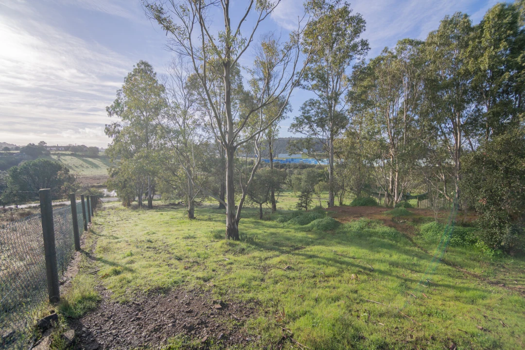 Moradia T3 para Venda em São Bartolomeu de Messines Foto 43