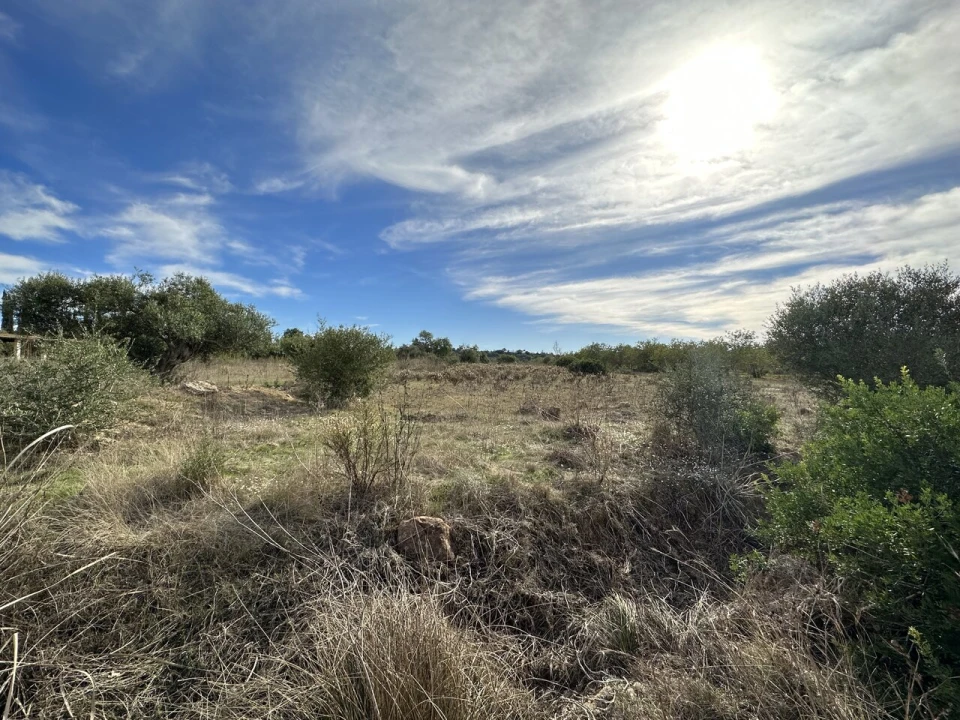 Terreno para Venda em Algoz e Tunes Foto 4