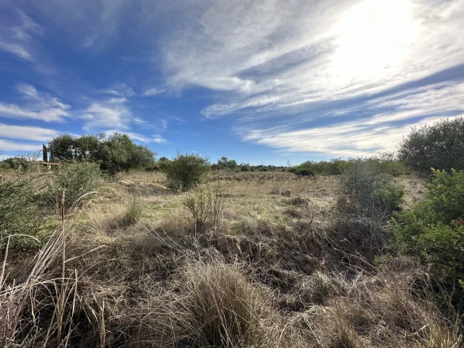 Terreno para Venda em Algoz e Tunes Foto 5