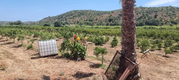 Moradia T7 para Venda em Silves