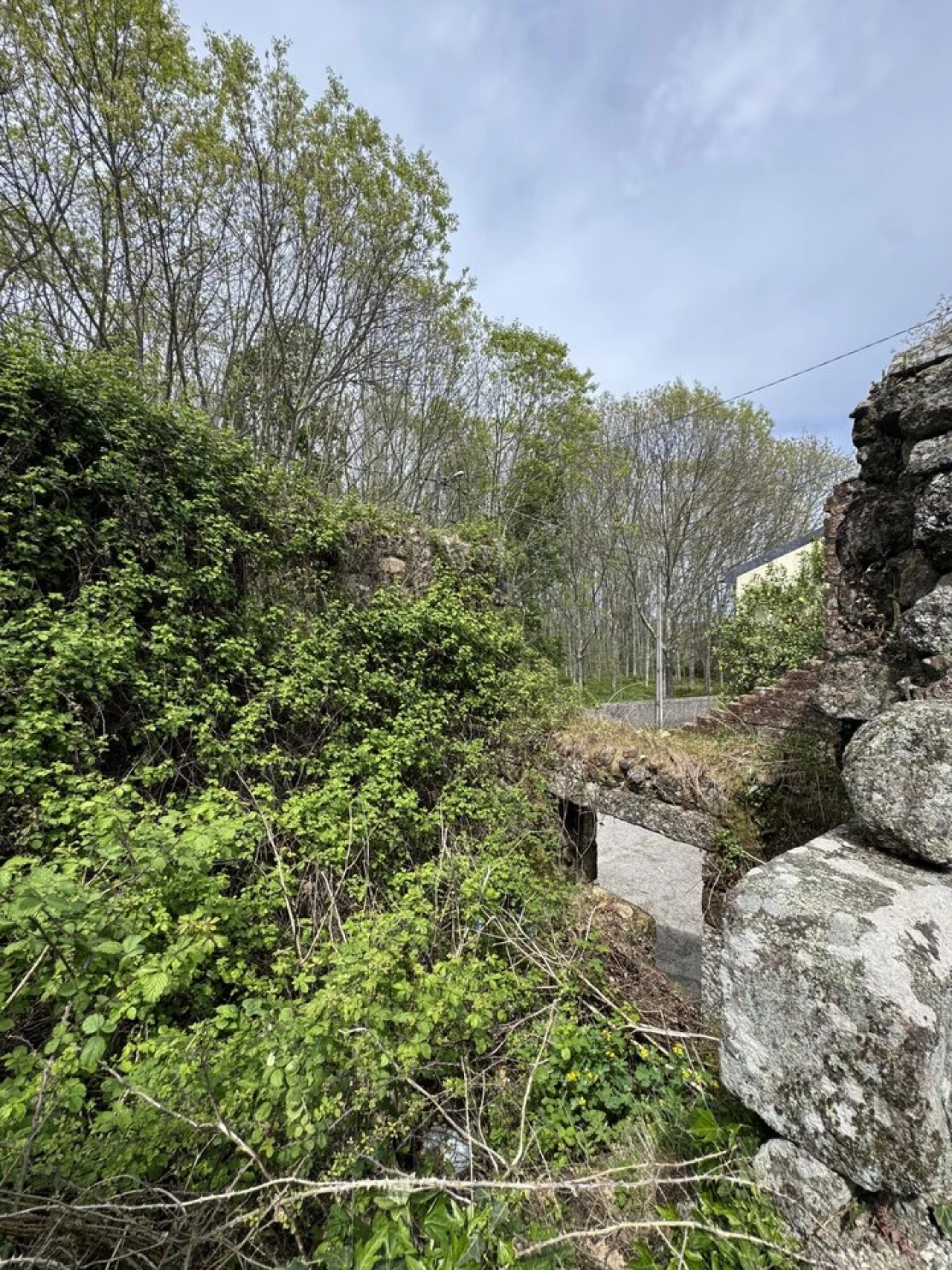 Moradia T1 para Venda em Lobão da Beira Foto 16