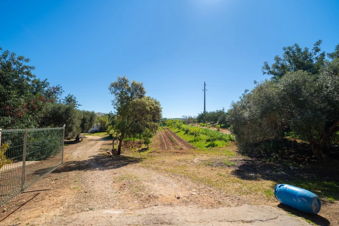 Quinta T5 para Venda em Paderne Foto 63