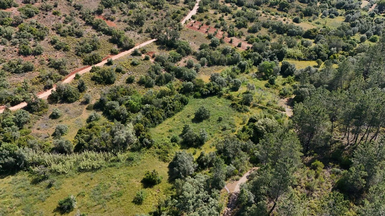 Terreno para Venda em Querença, Tôr e Benafim Foto 3