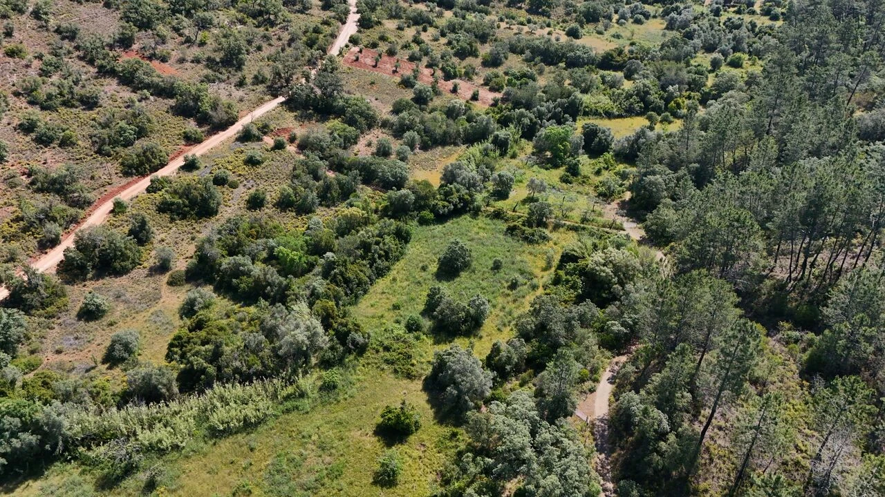 Terreno para Venda em Querença, Tôr e Benafim Foto 5