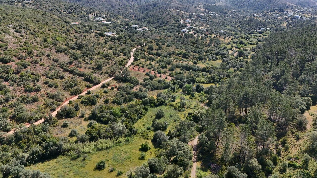 Terreno para Venda em Querença, Tôr e Benafim Foto 7