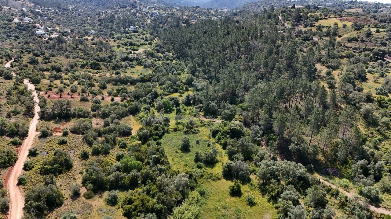 Terreno para Venda em Querença, Tôr e Benafim Foto 9
