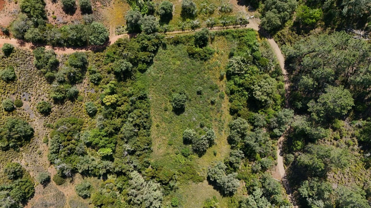 Terreno para Venda em Querença, Tôr e Benafim Foto 2