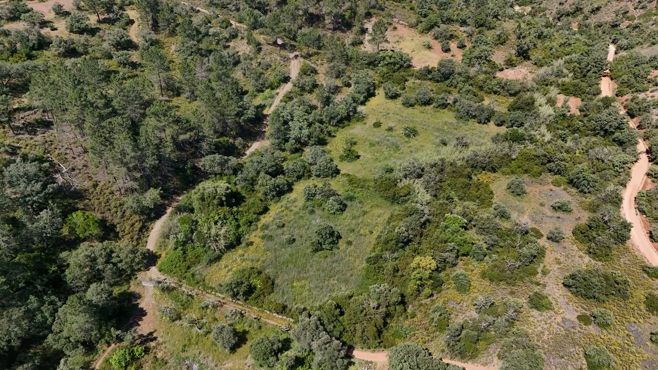 Terreno para Venda em Querença, Tôr e Benafim Foto 1