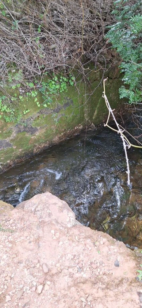 Terreno para Venda em Querença, Tôr e Benafim
