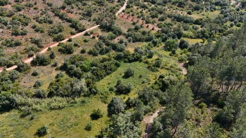 Terreno para Venda em Querença, Tôr e Benafim
