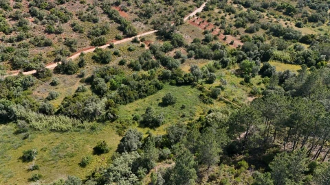 Terreno para Venda em Querença, Tôr e Benafim