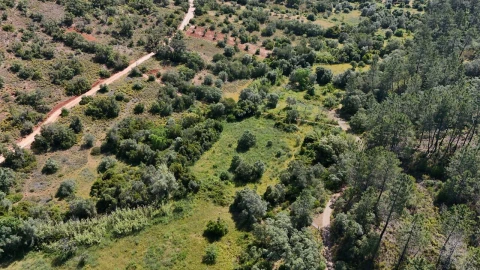 Terreno para Venda em Querença, Tôr e Benafim