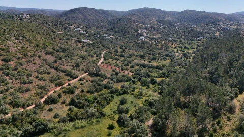 Terreno para Venda em Querença, Tôr e Benafim