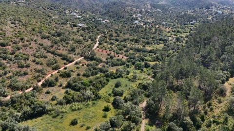 Terreno para Venda em Querença, Tôr e Benafim