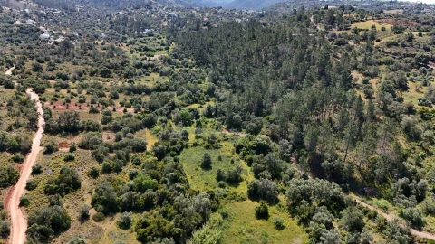 Terreno para Venda em Querença, Tôr e Benafim