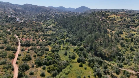 Terreno para Venda em Querença, Tôr e Benafim